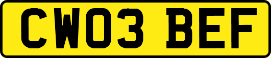 CW03BEF
