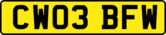 CW03BFW