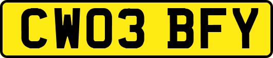 CW03BFY