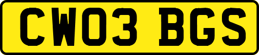 CW03BGS