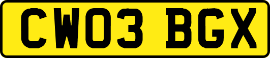 CW03BGX