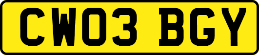 CW03BGY