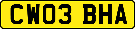 CW03BHA