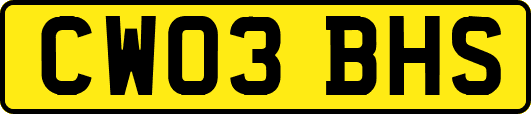 CW03BHS