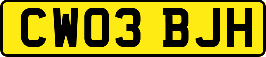CW03BJH
