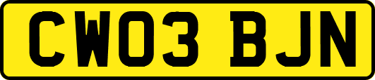 CW03BJN