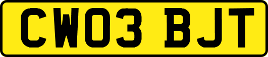 CW03BJT
