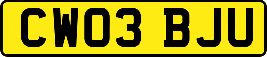 CW03BJU