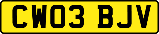 CW03BJV