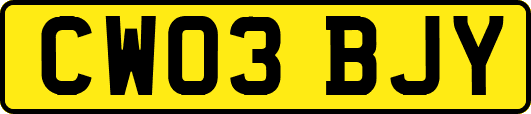 CW03BJY