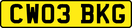 CW03BKG