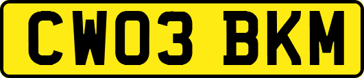 CW03BKM