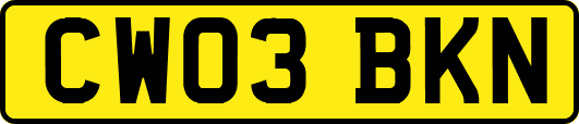 CW03BKN