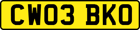 CW03BKO