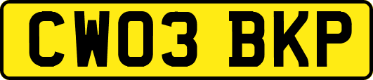 CW03BKP