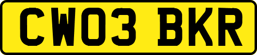 CW03BKR