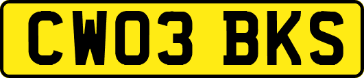 CW03BKS