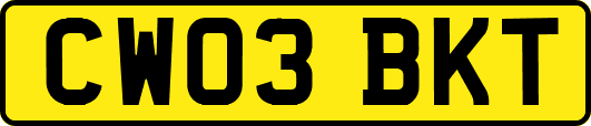 CW03BKT