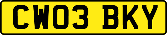 CW03BKY