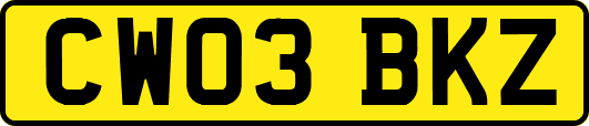 CW03BKZ