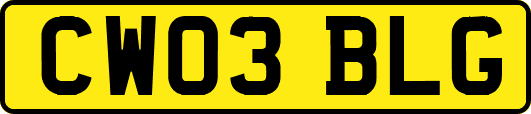 CW03BLG