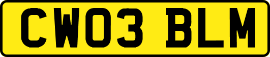 CW03BLM