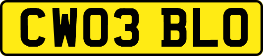 CW03BLO
