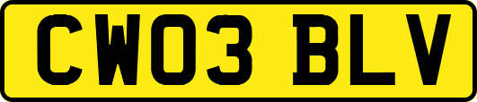 CW03BLV
