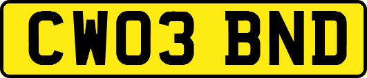 CW03BND