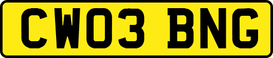 CW03BNG