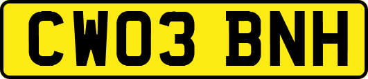CW03BNH