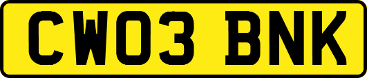 CW03BNK