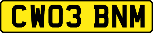 CW03BNM