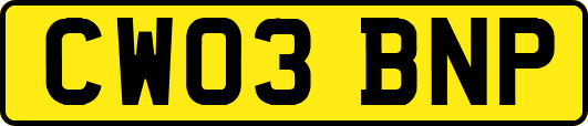 CW03BNP