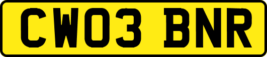 CW03BNR