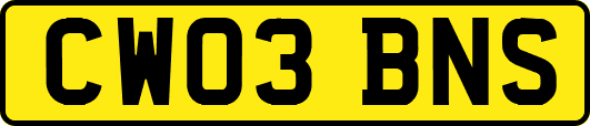 CW03BNS