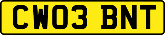 CW03BNT