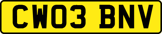CW03BNV