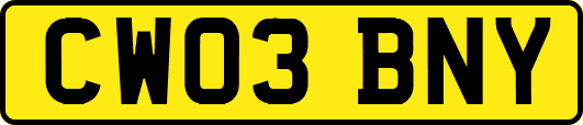 CW03BNY