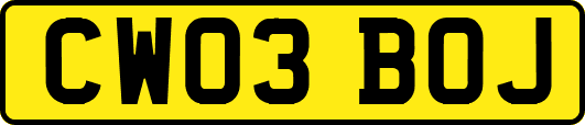 CW03BOJ