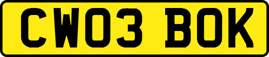 CW03BOK