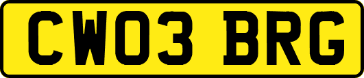 CW03BRG
