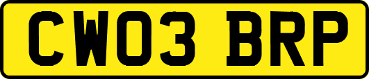 CW03BRP