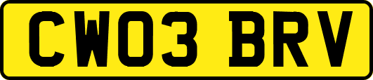 CW03BRV