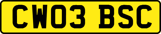 CW03BSC