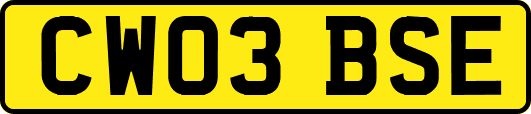 CW03BSE