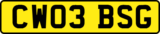 CW03BSG