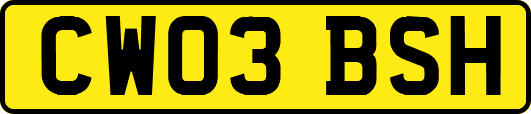 CW03BSH