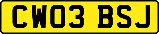 CW03BSJ