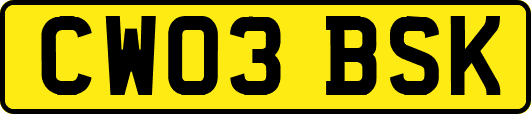 CW03BSK
